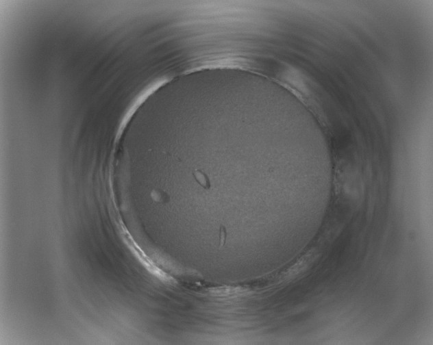 X0000066000804200603061322