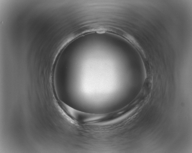 X0000066000805200603061322