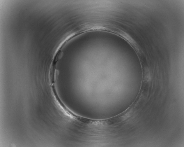 X0000066000806200603061322