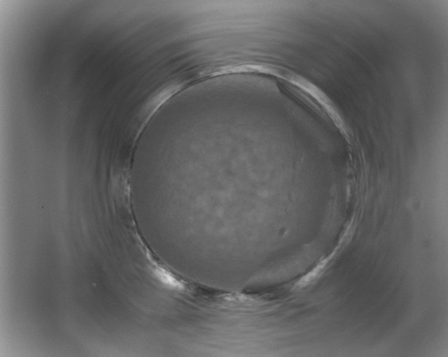 X0000066000809200603061322