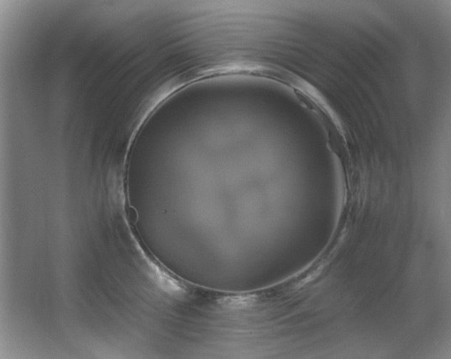 X0000066000810200603061322