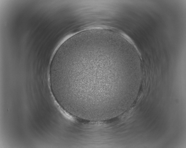 X0000066000811200603061322