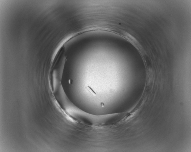 X0000066000812200603061322