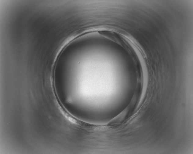 X0000066000813200603061322