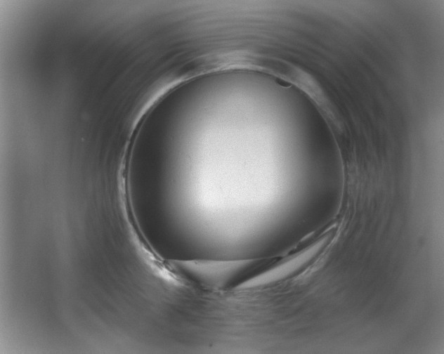 X0000066000814200603061322