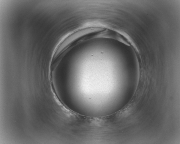 X0000066000815200603061322