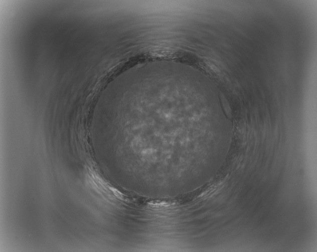 X0000066000817200603061321