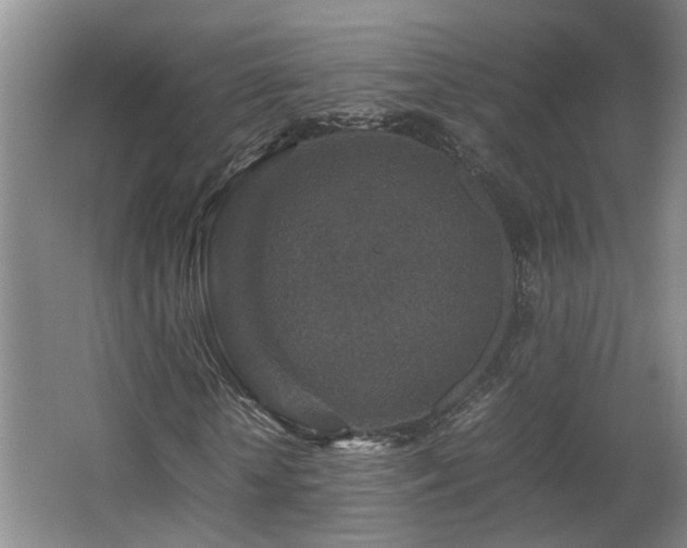 X0000066000818200603061321