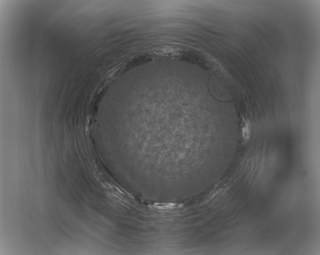 X0000066000819200603061321