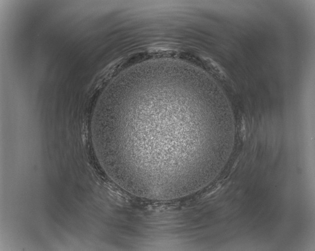 X0000066000821200603061321