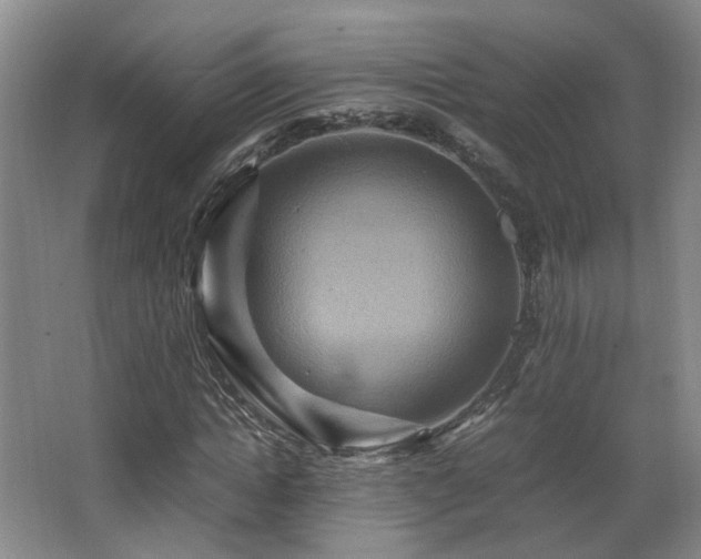 X0000066000822200603061321