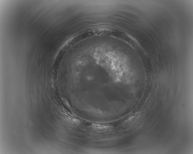 X0000066000823200603061321