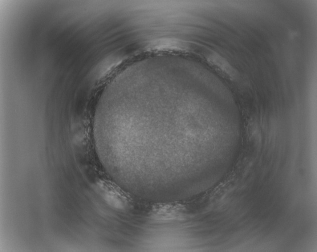 X0000066000824200603061321