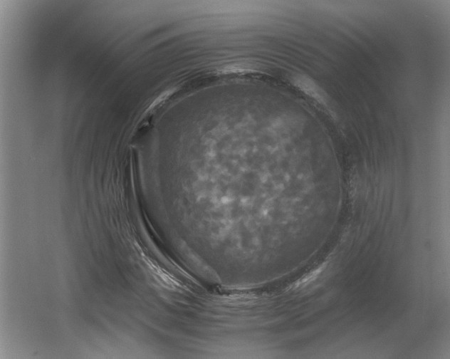 X0000066000825200603061321