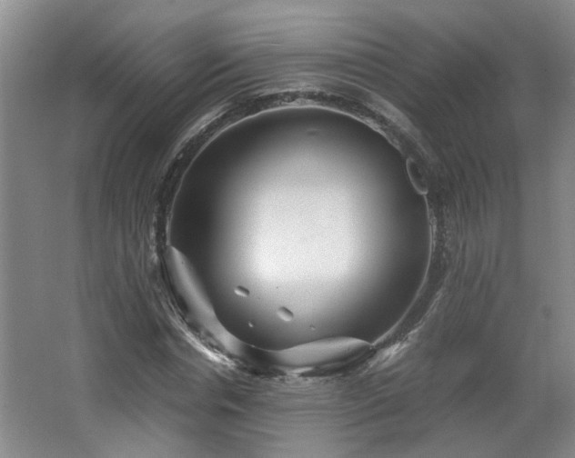 X0000066000826200603061321