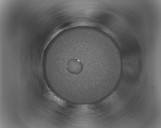 X0000066000828200603061321