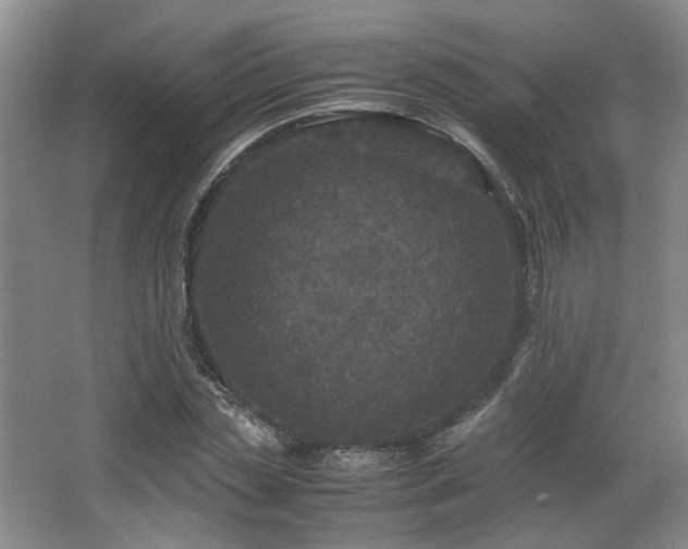 X0000066000829200603061321