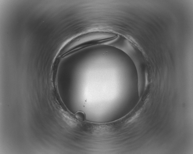 X0000066000830200603061321