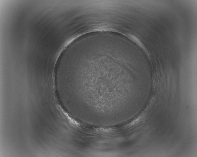 X0000066000831200603061321