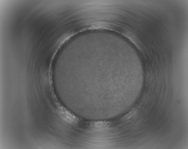 X0000066000832200603061321