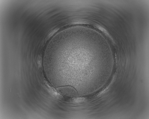 X0000066000833200603061321