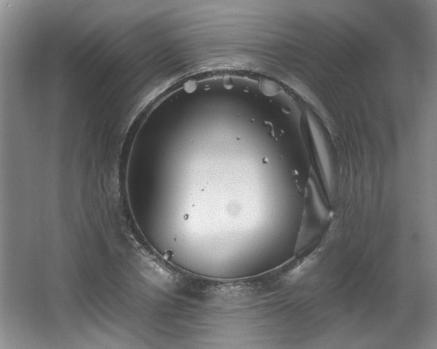 X0000066000834200603061321