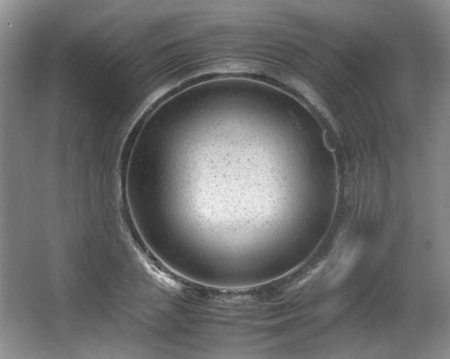 X0000066000837200603061321