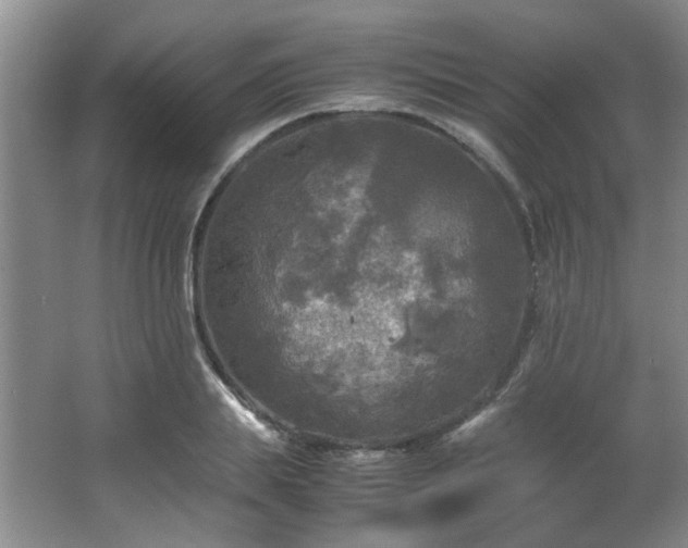 X0000066000839200603061321