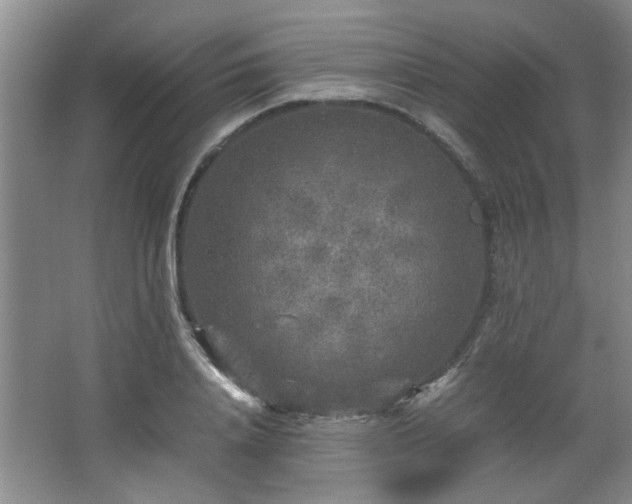 X0000066000840200603061321