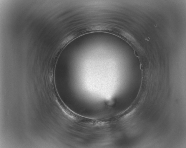 X0000066000841200603061321