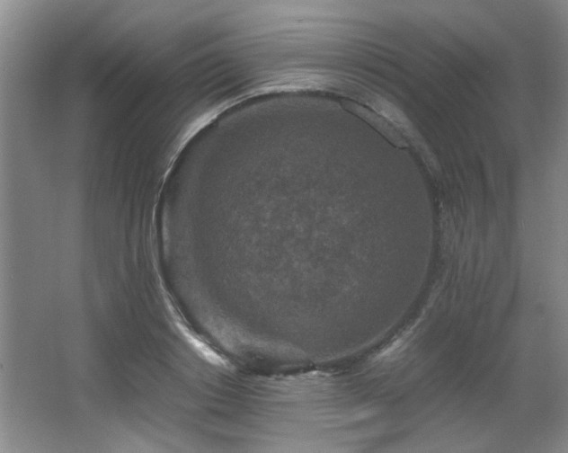 X0000066000842200603061321