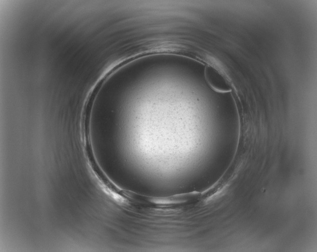 X0000066000843200603061321