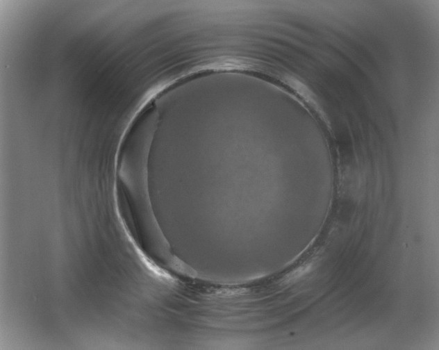 X0000066000845200603061321