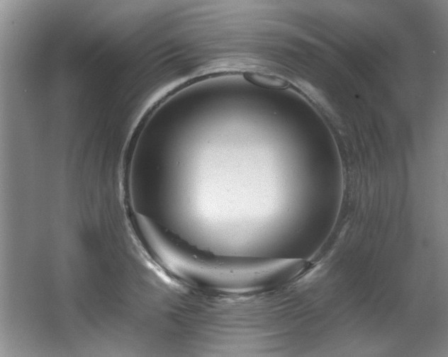 X0000066000846200603061321