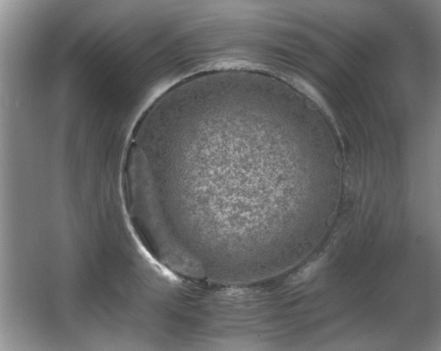 X0000066000847200603061321