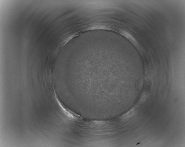 X0000066000849200603061321