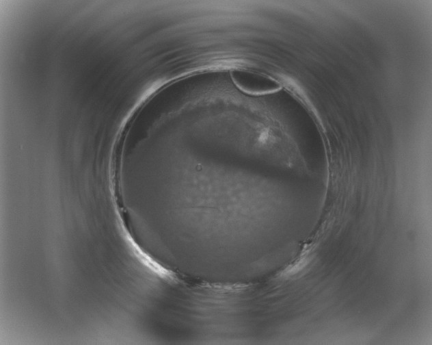 X0000066000851200603061321