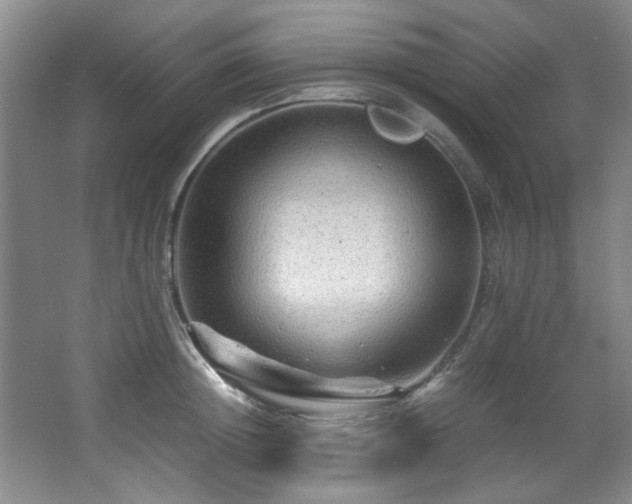 X0000066000852200603061321