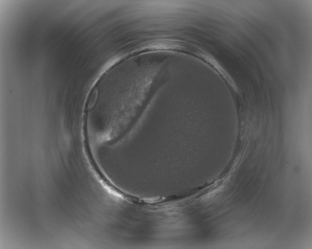 X0000066000853200603061321