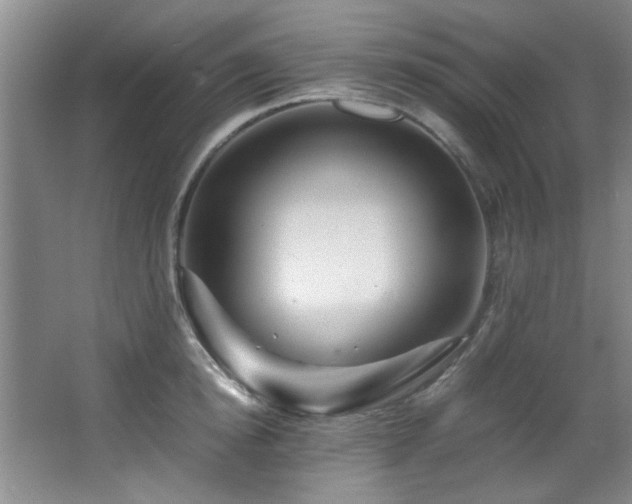 X0000066000854200603061321