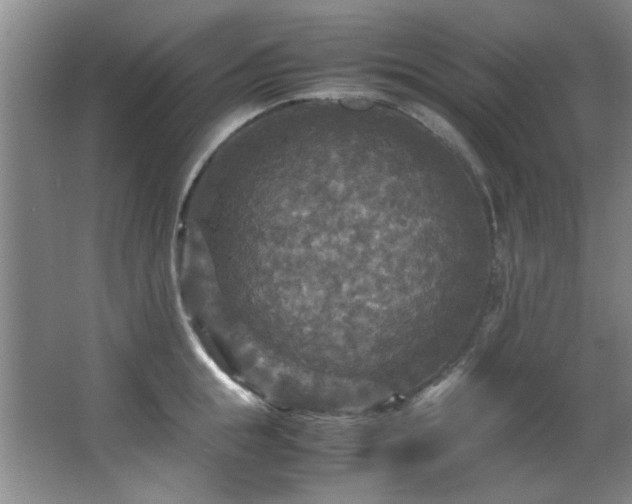 X0000066000855200603061321