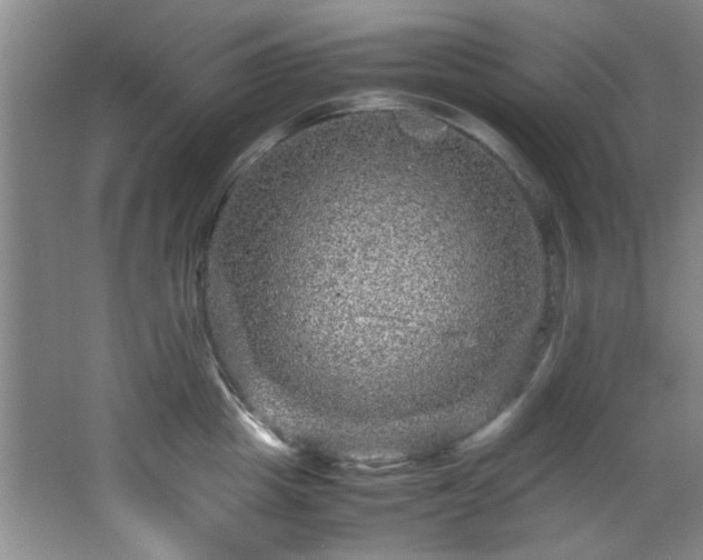 X0000066000857200603061321