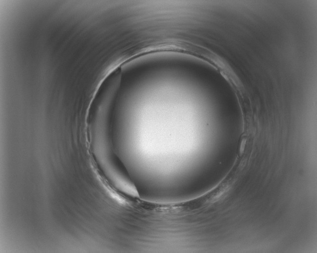 X0000066000858200603061321