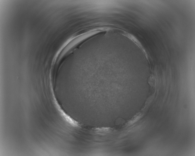 X0000066000859200603061321