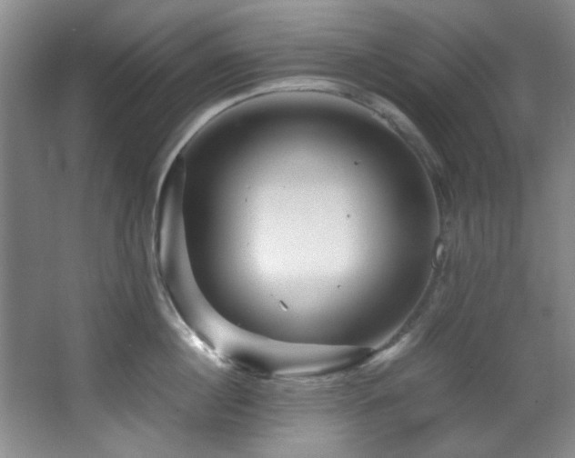 X0000066000860200603061321