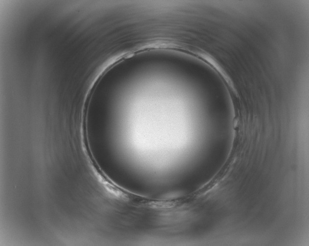 X0000066000861200603061322