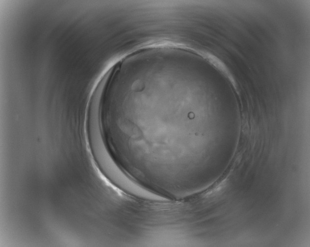 X0000066000863200603061322