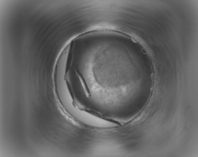 X0000066000864200603061322