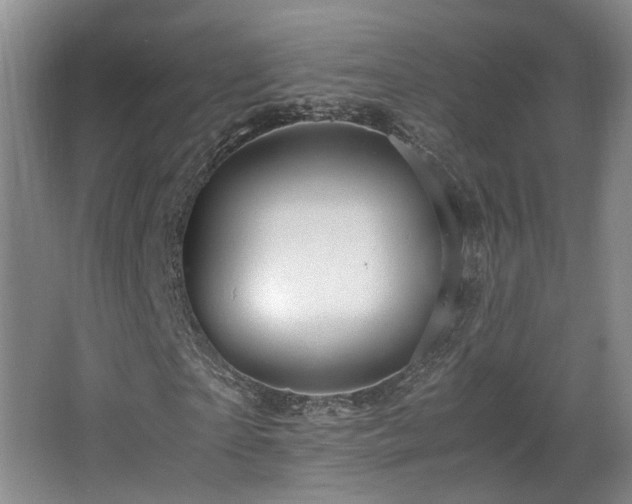 X0000066000865200603061321