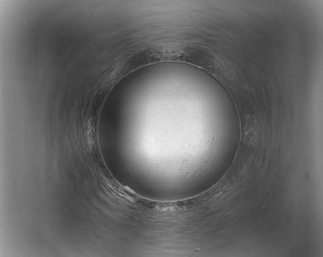 X0000066000866200603061321